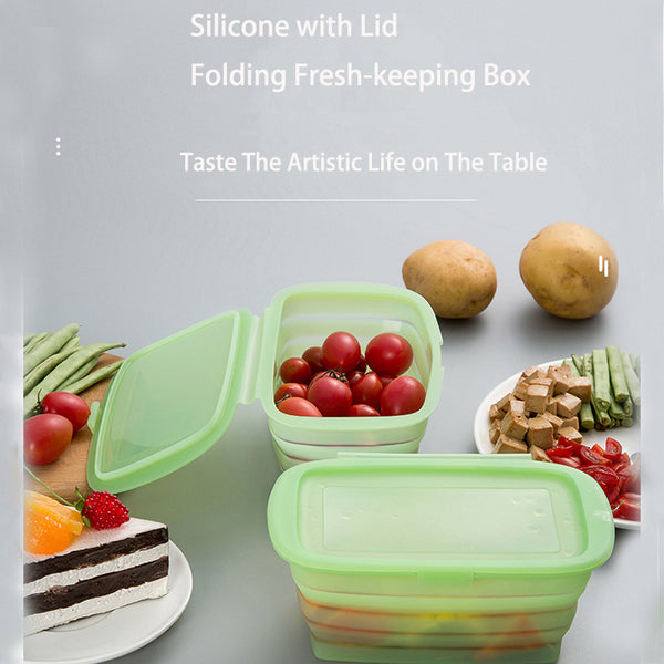 Irvingwad Green Silicone Foldable Fruit and Vegetable Bento Lunch Box with Lid